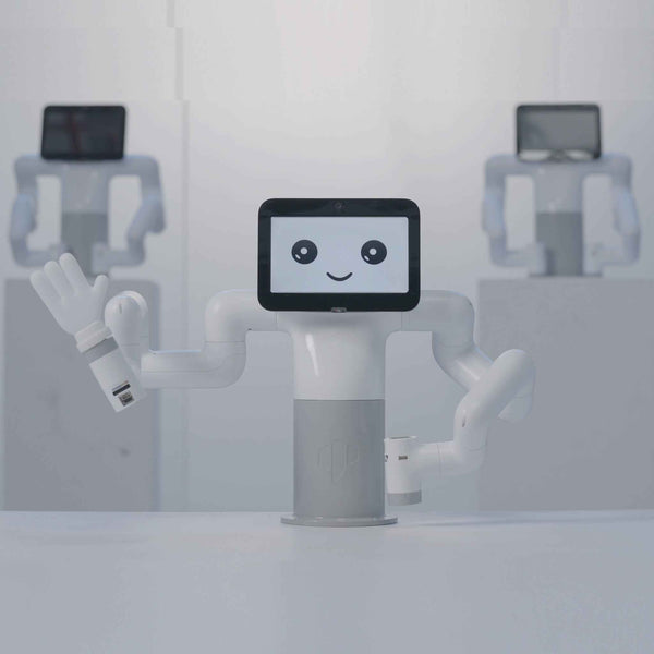 myBuddy 280 Pi - Double 6 DOF Collaborative Robot Dual Arm Robot
