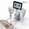 myBuddy 280 Pi - Double 6 DOF Collaborative Robot Dual Arm Robot